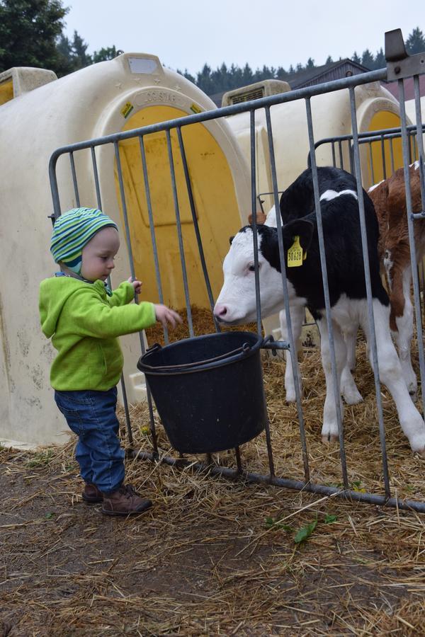 Ferienhof Schricker Marktleuthen Kültér fotó